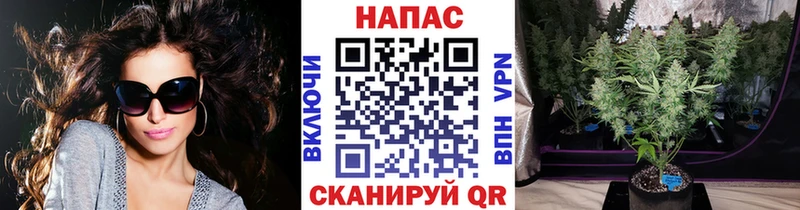 Где купить наркоту Сосновый Бор Псилоцибиновые грибы Cocaine Меф Гашиш А ПВП