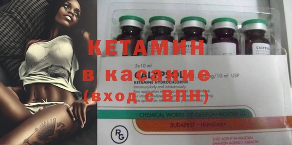 шишки Новодвинск