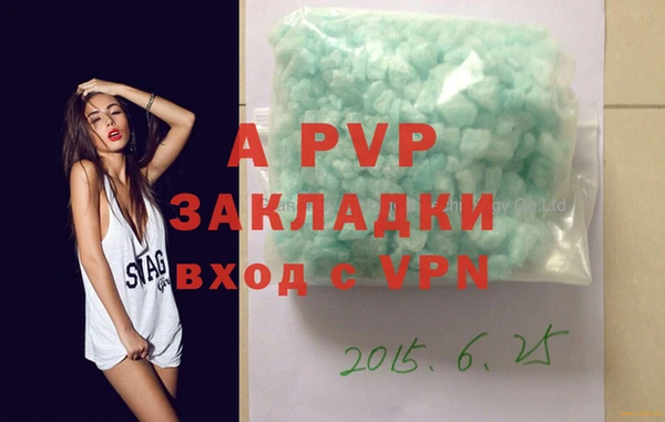шишки Новодвинск