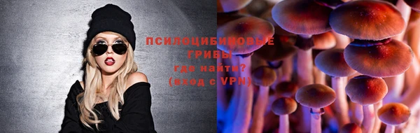 шишки Новодвинск