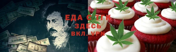 шишки Новодвинск
