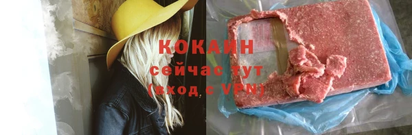 дживик Новозыбков