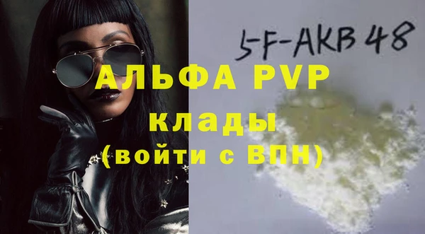шишки Новодвинск