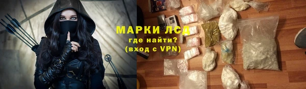 шишки Новодвинск