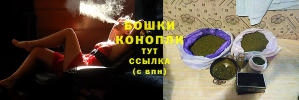 дживик Новозыбков