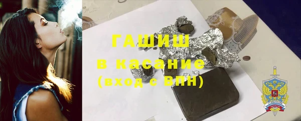 шишки Новодвинск