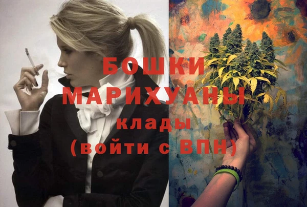 шишки Новодвинск