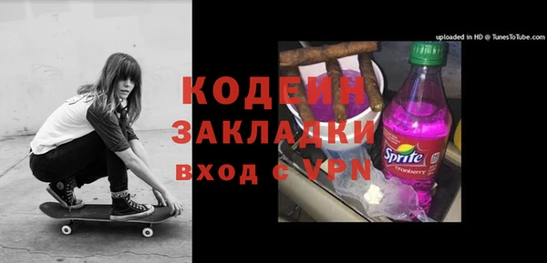 шишки Новодвинск