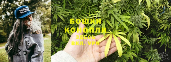 шишки Новодвинск