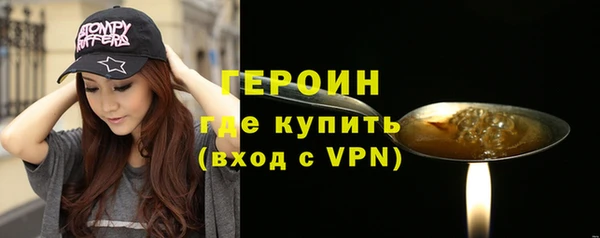 шишки Новодвинск