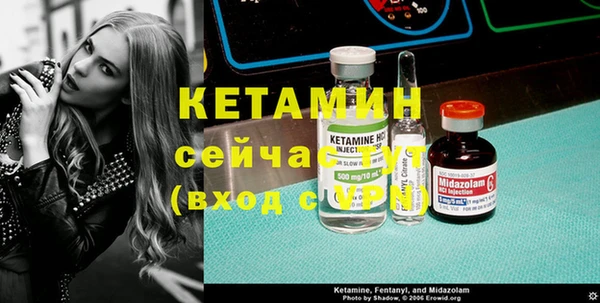 шишки Новодвинск