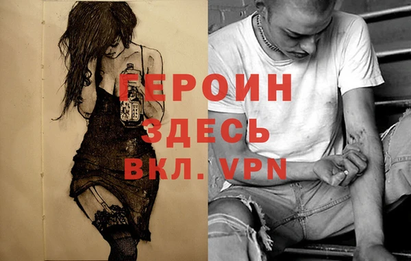 шишки Новодвинск