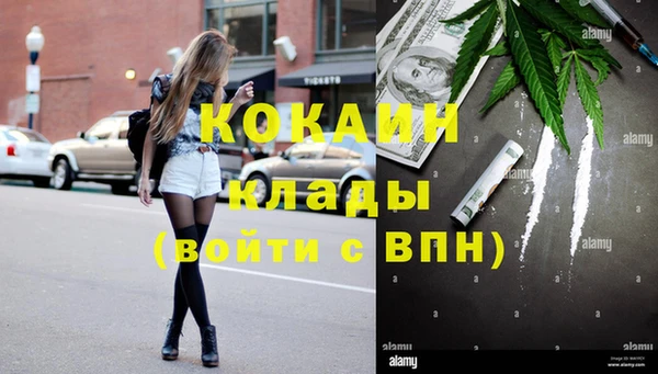 шишки Новодвинск