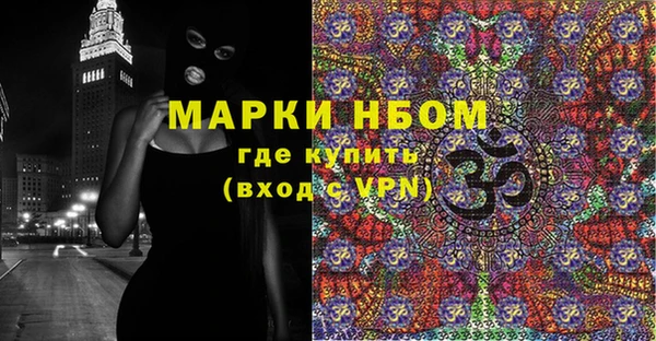 дживик Новозыбков