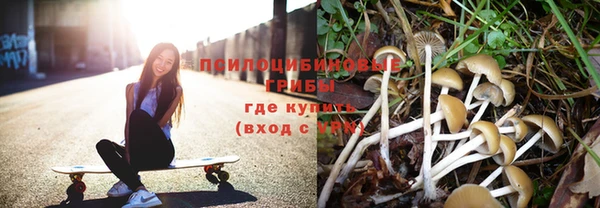 не бодяженный Бабаево