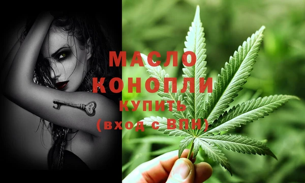 дживик Новозыбков