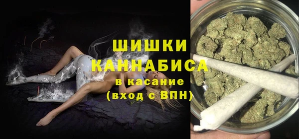 шишки Новодвинск