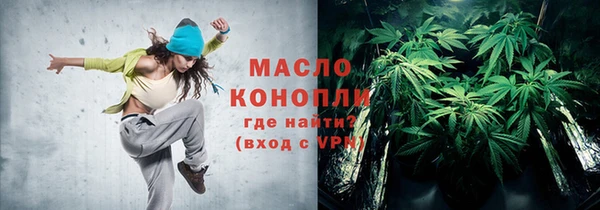 шишки Новодвинск