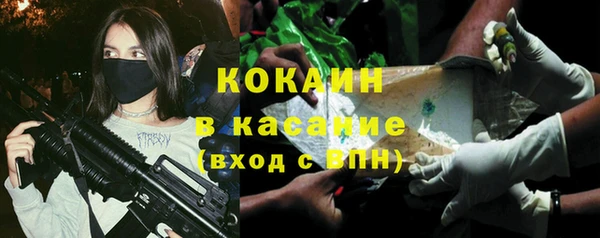 дживик Новозыбков