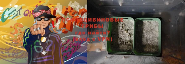 дживик Новозыбков