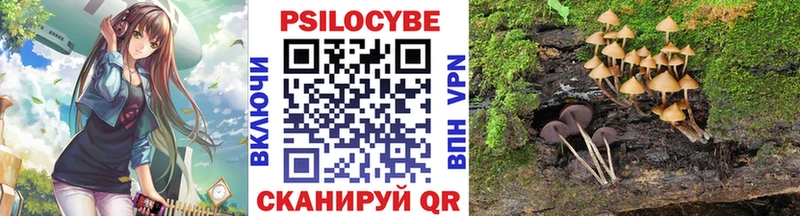 Галлюциногенные грибы прущие грибы Сосновый Бор