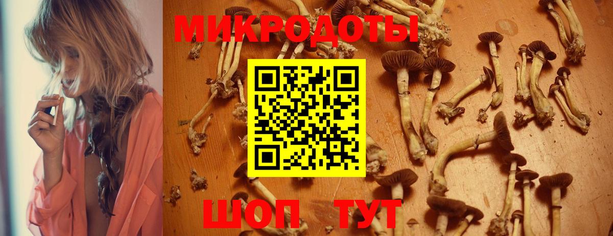 Сосновый Бор  цены   Вход с VPN  Псилоцибиновые грибы MAGIC MUSHROOMS 